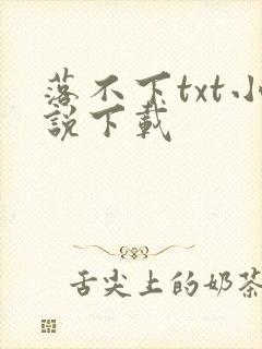 落不下txt小说下载