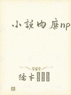 小说肉糜np