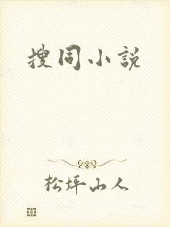 搜同小说