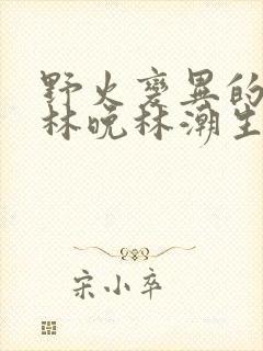 野火变异的父爱林晚林潮生
