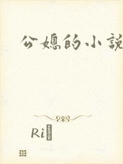 公媳的小说