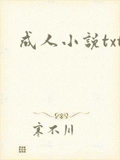 成人小说txt