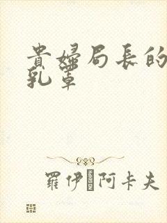 贵妇局长的蕾丝乳罩