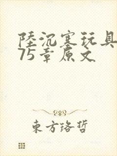 陆沉塞玩具高速75章原文