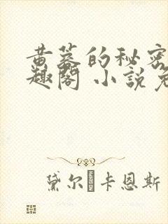 黄蓉的秘密 笔趣阁 小说免费阅读