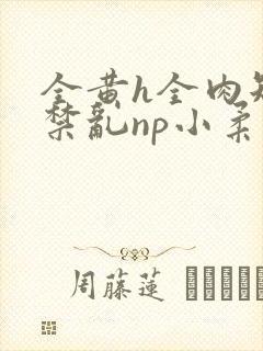 全黄h全肉短篇禁乱np小柔