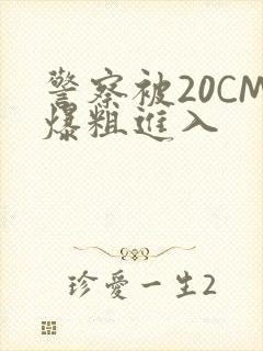 警察被20CM爆粗进入