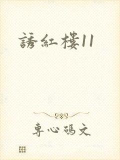 诱红楼11