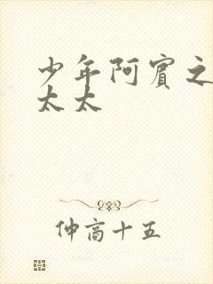 少年阿宾之房东太太