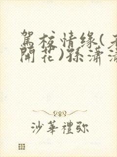 驾校情缘(老树开花)孙潇潇笔趣阁