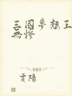 三国梦想王元姬无惨