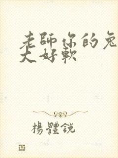 老师你的兔子好大好软封面