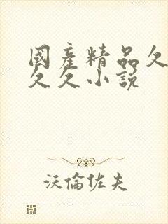 国产精品久久久久久小说