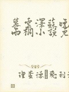 慕云泽苏晚晴夏雨桐小说免费阅读