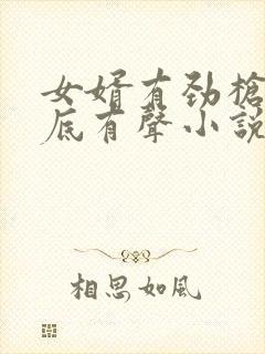 女婿有劲枪枪到底有声小说