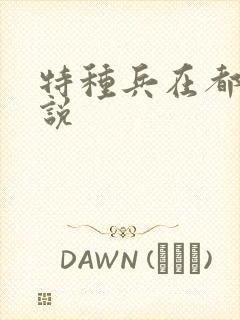 特种兵在都市小说