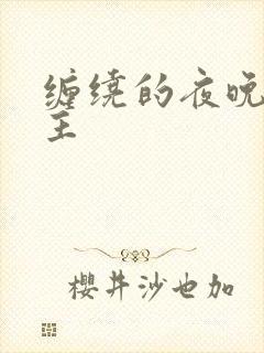 缠绕的夜晚双男主