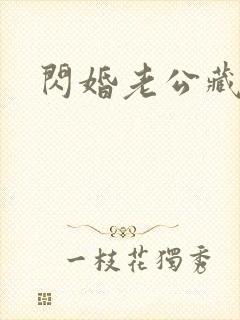 闪婚老公藏不住