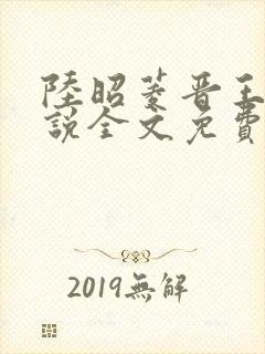 陆昭菱晋王的小说全文免费阅读