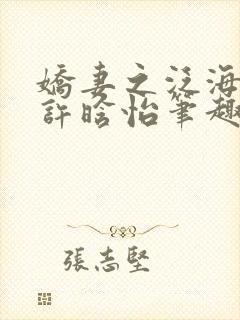 娇妻之泛海之舟许晗怡笔趣阁