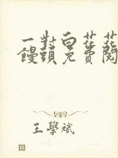 一对白花花的大馒头免费阅读