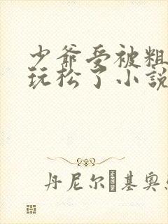 少爷受被粗汉H玩松了小说