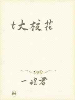 t大校花