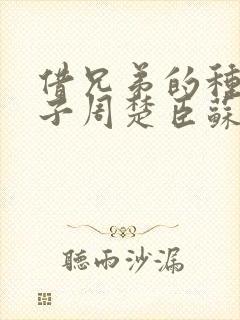 借兄弟的种生孩子周楚臣苏糖