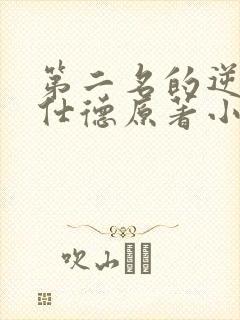 第二名的逆袭高仕德原著小说