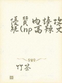 优质肉棒攻略系统(np高辣文)