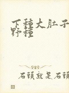 下种大肚子怀孕野种