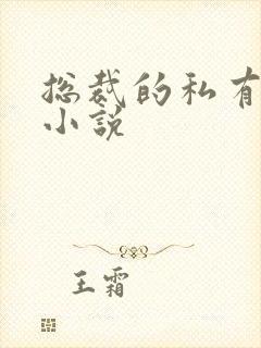 总裁的私有宝贝小说