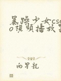 暴躁少女csgo视频播放器推荐