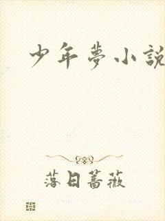 少年梦小说