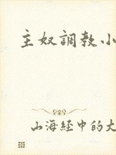 主奴调教小说封面