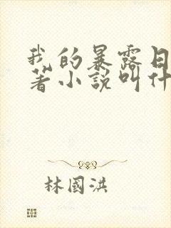 我的暴露日记原著小说叫什么