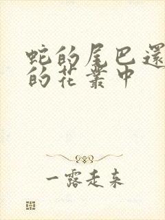 蛇的尾巴还在我的花丛中