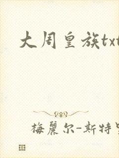 大周皇族txt