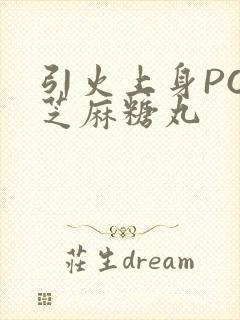 引火上身POP芝麻糖丸