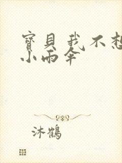 宝贝 我不想带小雨伞