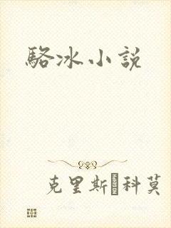 骆冰小说