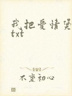 我把爱情煲成汤txt