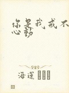 你是我戒不掉的心动