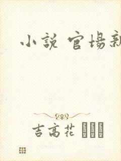 小说 官场新贵