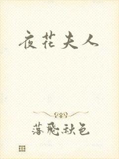 夜花夫人