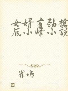 女婿有劲枪枪到底小峰小说