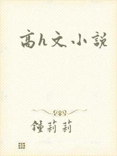 高h文小说