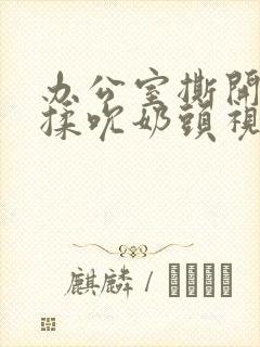 办公室撕开奶罩揉吮奶头视频