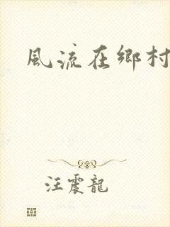 风流在乡村