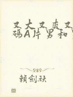 又大又爽又黄无码A片男和男